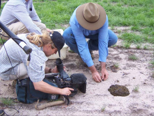 French Documentary